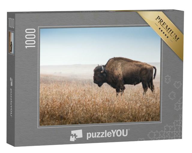Puzzle 1000 Teile „Amerikanischer Bison, Büffel, Profil“