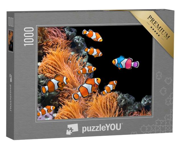 Puzzle 1000 Teile „Schwarm von Standard-Clownfischen und ein bunter Fisch: Sei du selbst!“