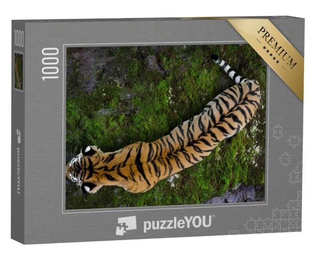 Puzzle 1000 Teile „Ussuriyrsky-Tiger, der nördlichste Tiger“