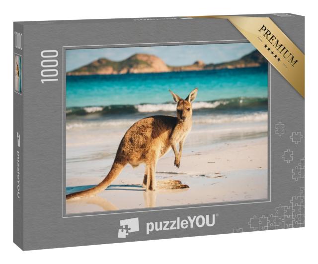 Puzzle 1000 Teile „Känguru, Lucky Bay, Cape Le Grand National Park, Australien“