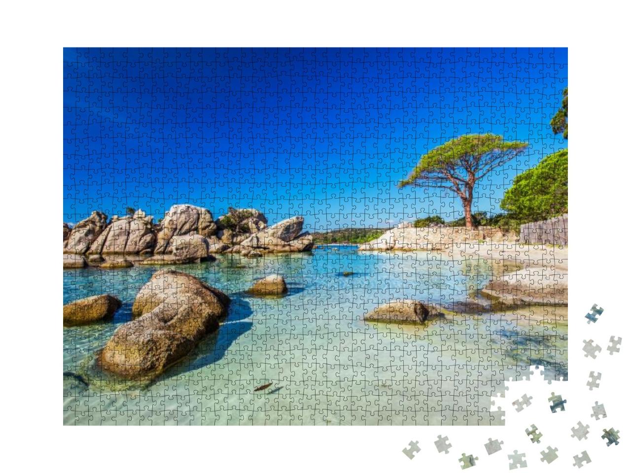 Puzzle 1000 Teile „Pinie am Strand von Palombaggia im Süden Korsikas“
