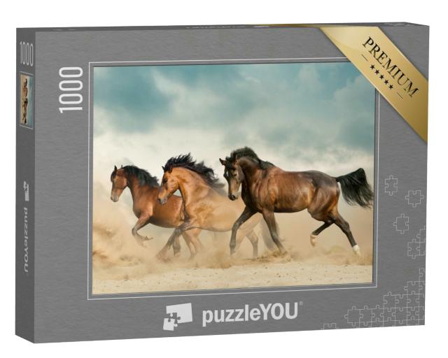 Puzzle 1000 Teile „Schöne braune Pferde streifen durch die Wüste“