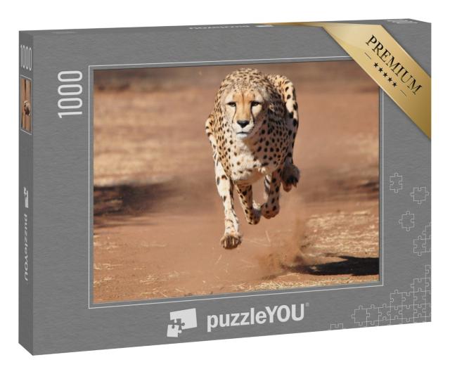 Puzzle 1000 Teile „Gepard beim Lauf, komplett in der Luft“