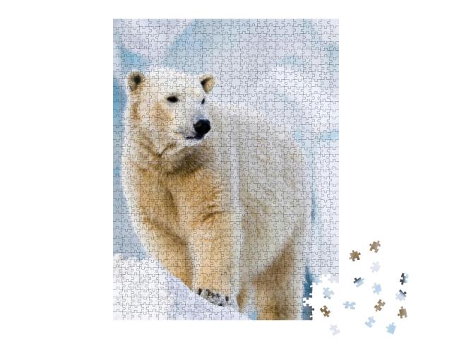 Puzzle 1000 Teile „Junger Eisbär auf dem Eisblock stehend“