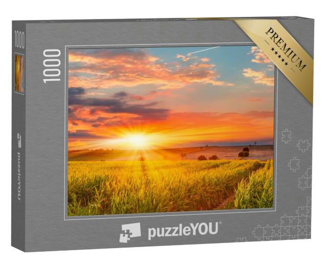 Puzzle 1000 Teile „Wunderschöner Sonnenaufgang über einem Maisfeld“