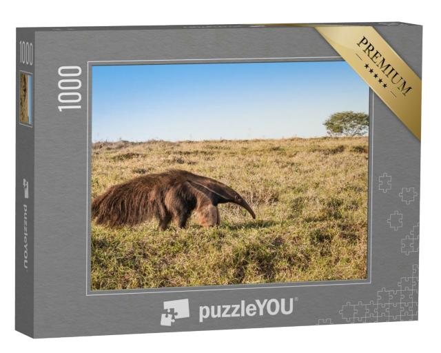 Puzzle 1000 Teile „Ein wilder Riesenameisenbär auf der Weide“