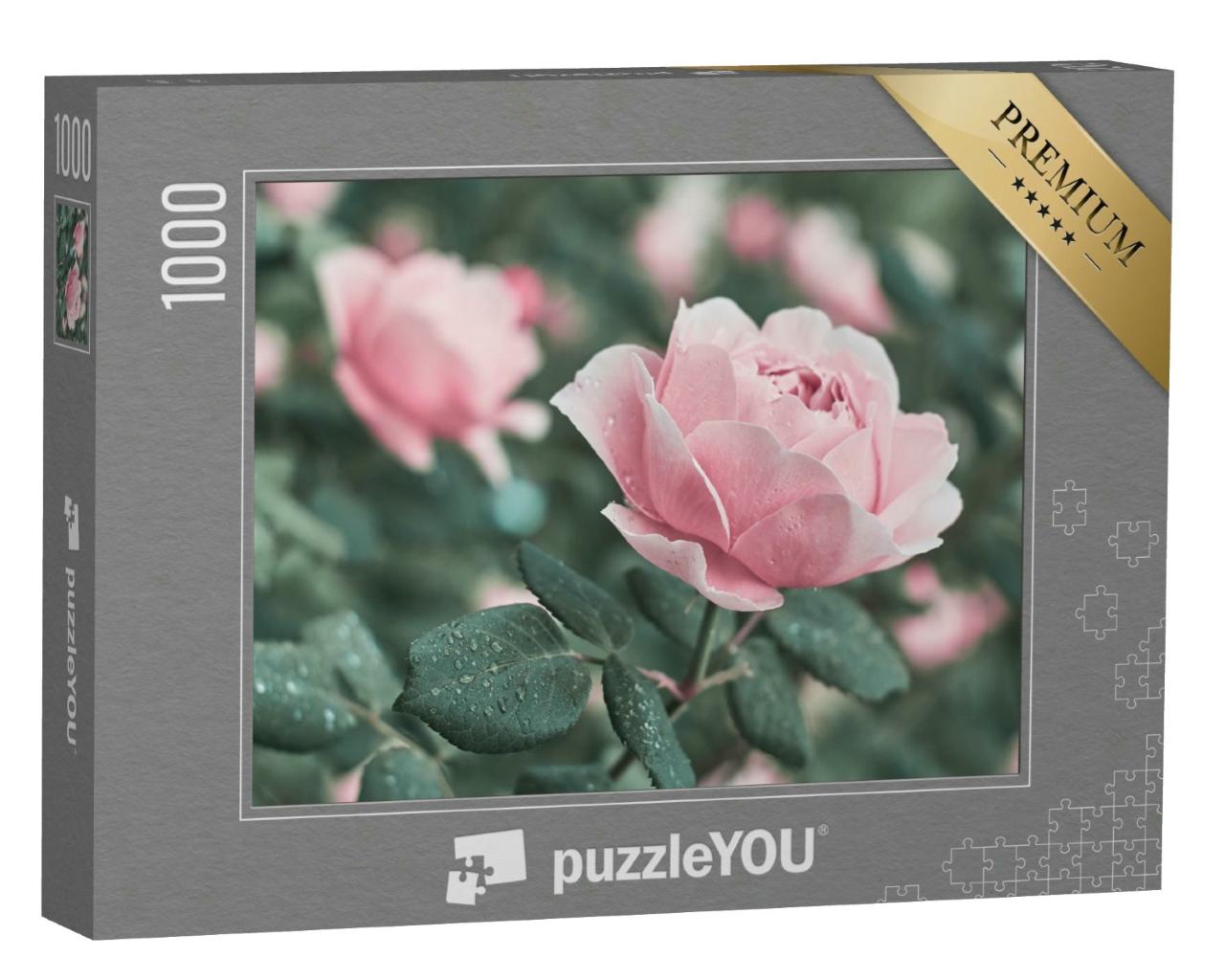 Puzzle 1000 Teile „Rose Blume aus der Natur“