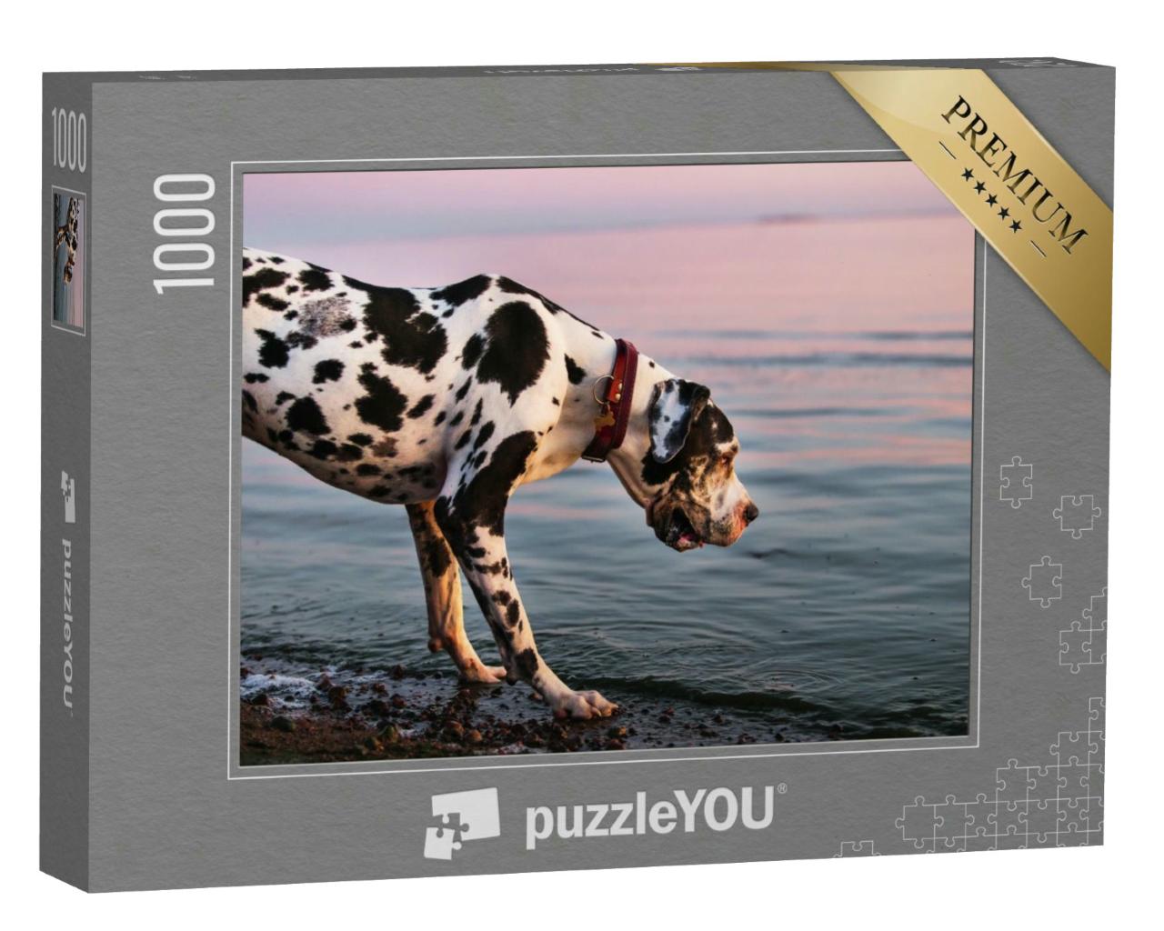 Puzzle 1000 Teile „Majestätisch: Deutsche Dogge auf dem Abendspaziergang“