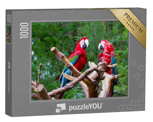 Puzzle 1000 Teile „Papageienpärchen unter sich“