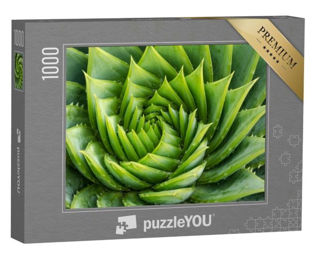 Puzzle 1000 Teile „Aloe vera mit Wassertropfen, Nahaufnahme“