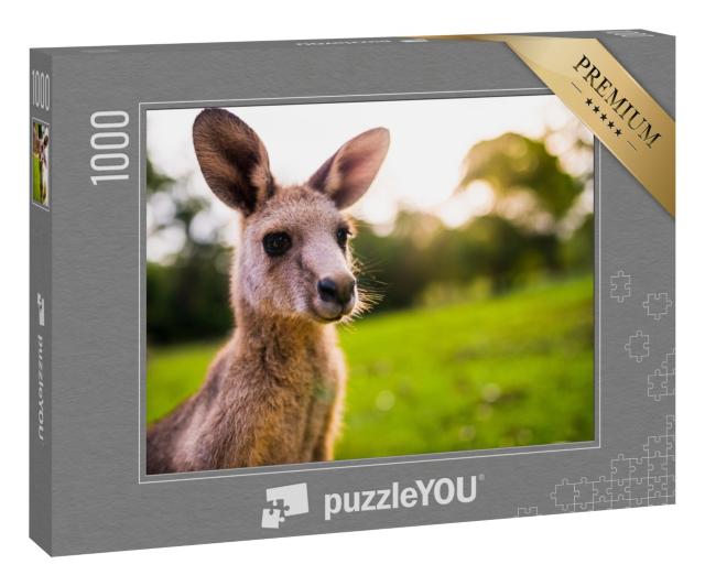 Puzzle 1000 Teile „Junges Känguru an der Ostküste Australiens“