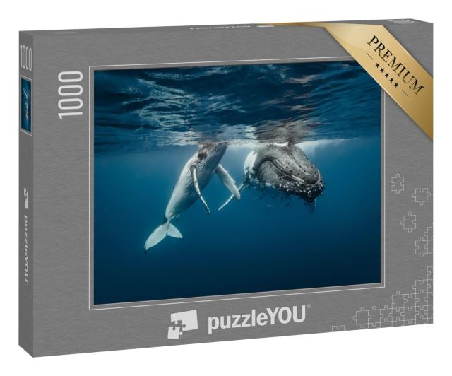 Puzzle 1000 Teile „Eine Buckelwal-Mutter und ihr Kalb schwimmen nebeneinander im kristallklaren Wasser“