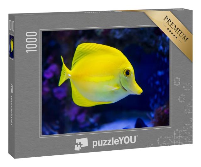 Puzzle 1000 Teile „Nahaufnahme: Gelber Doktorfisch“