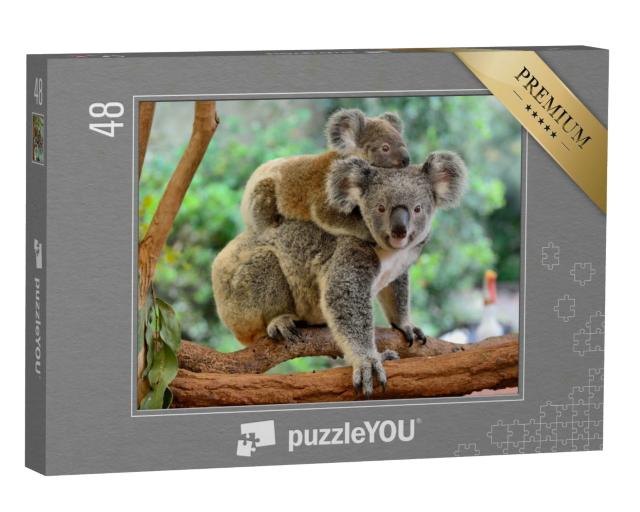 Puzzle 48 Teile „Koala-Mutter mit Baby auf dem Rücken auf einem Eukalyptusbaum“