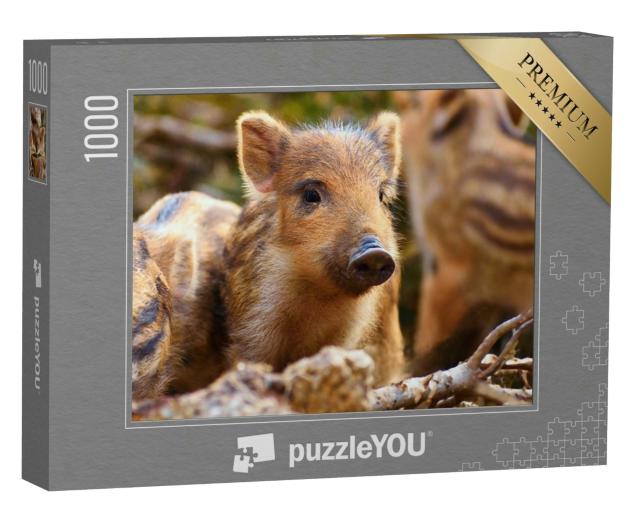Puzzle 1000 Teile „Frischlinge im Wald“
