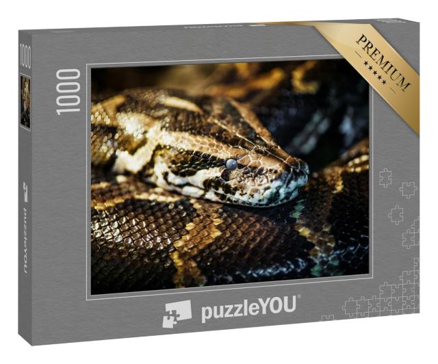 Puzzle 1000 Teile „Netzpython, auch bekannt als Königspython oder Kugelpython“