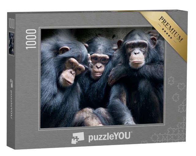Puzzle 1000 Teile „Bonobos und Schimpansen sind die einzigen Arten von Menschenaffen aus Afrika“