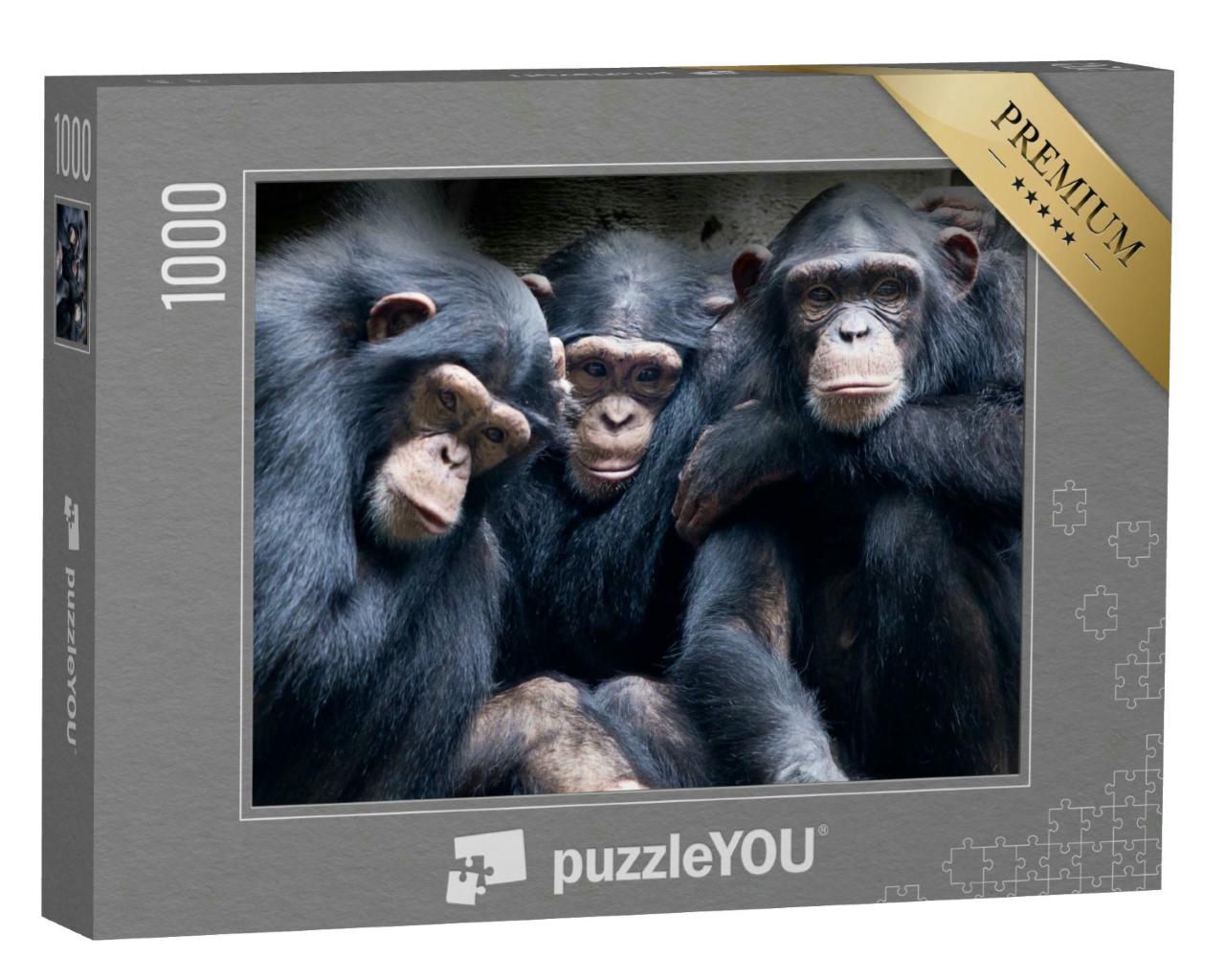 Puzzle 1000 Teile „Bonobos und Schimpansen sind die einzigen Arten von Menschenaffen aus Afrika“