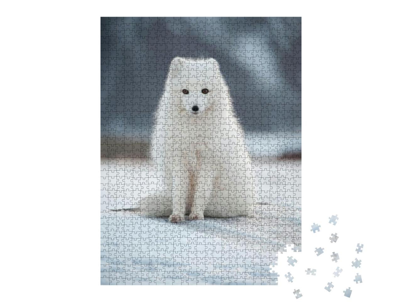 Puzzle 1000 Teile „Polarfuchs“