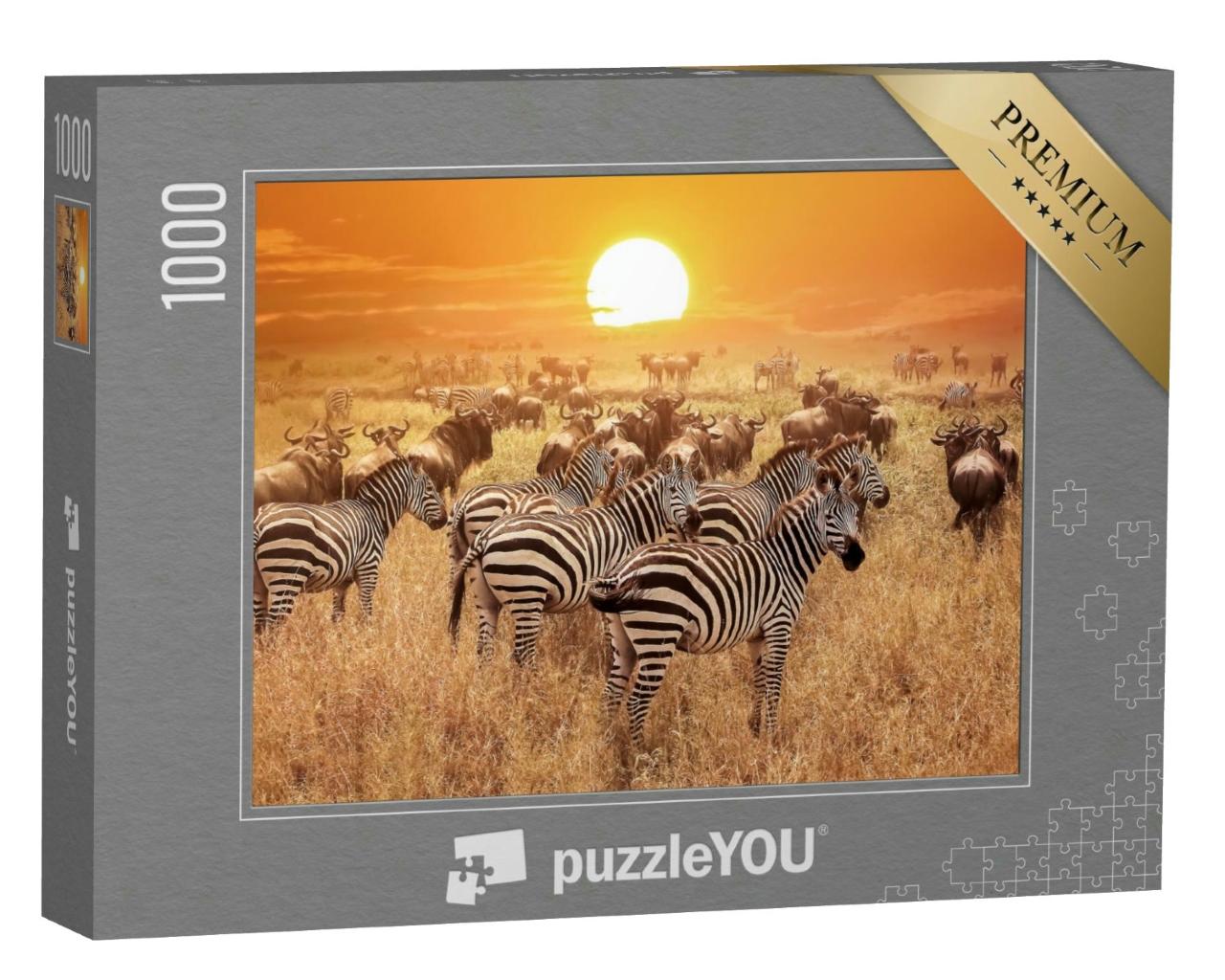 Puzzle 1000 Teile „Zebra bei Sonnenuntergang im Serengeti-Nationalpark. Afrika. Tansania.“