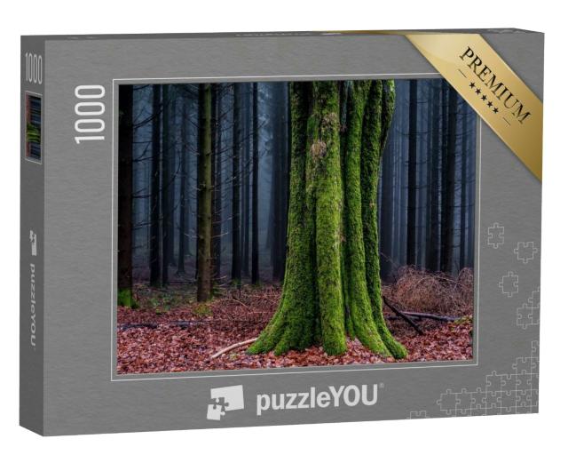 Puzzle 1000 Teile „Moosbewachsener Baumstamm im Herbstwald, im Hintergrund Nebel“