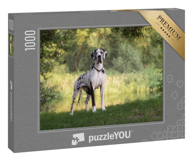 Puzzle 1000 Teile „Schöne Landschaft mit Deutscher Dogge“