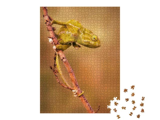 Puzzle 1000 Teile „Gewöhnliches Chamäleon (Chamaeleo chamaeleon)“
