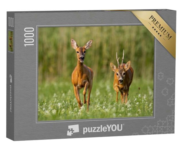 Puzzle 1000 Teile „Rehwild: Bock und Ricke auf einer grünen Wiese“