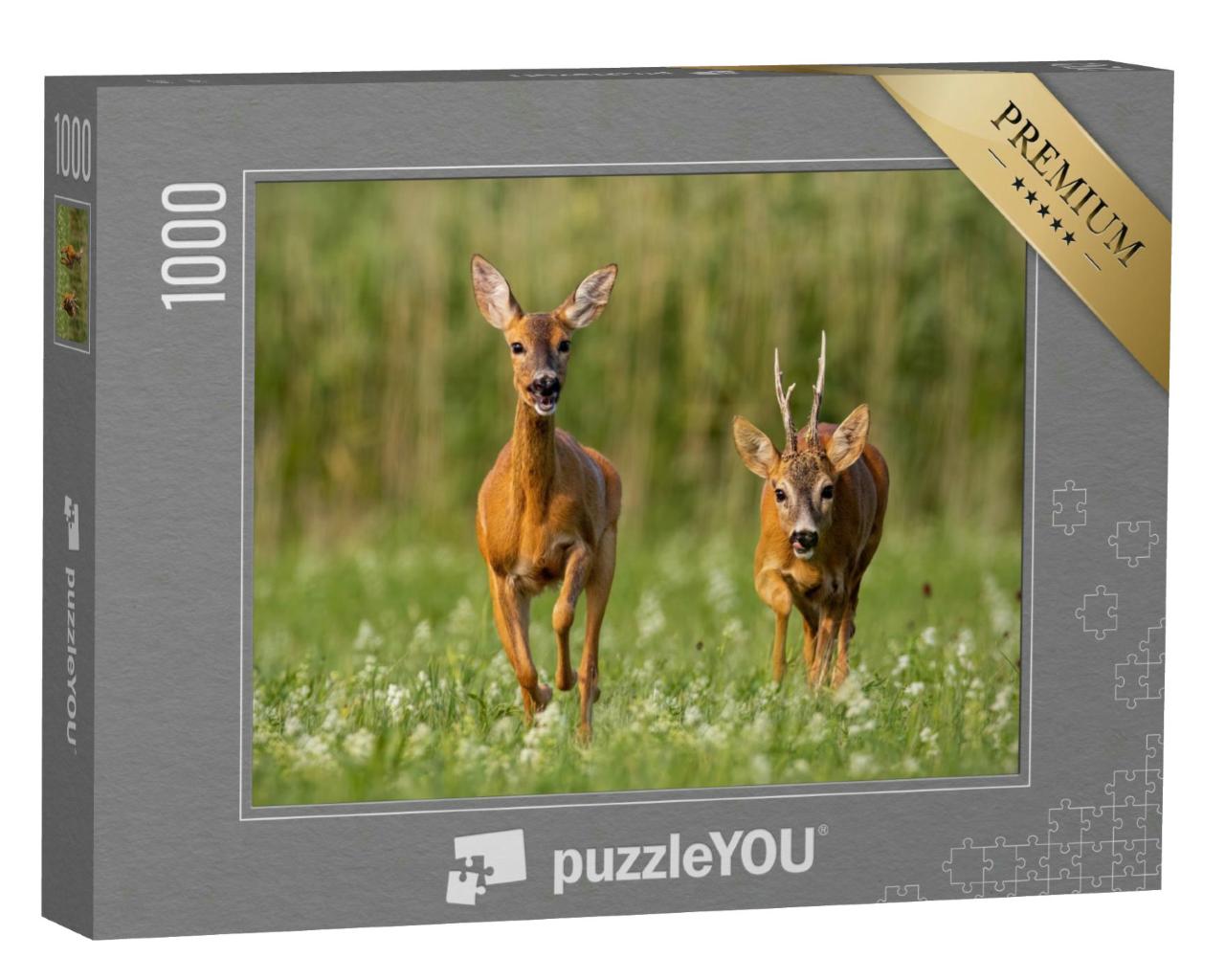 Puzzle 1000 Teile „Rehwild: Bock und Ricke auf einer grünen Wiese“