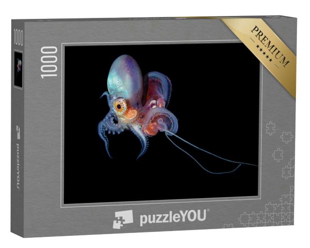 Puzzle 1000 Teile „Löcherkrake mit schwarzem Hintergrund, Unterwasserfoto“