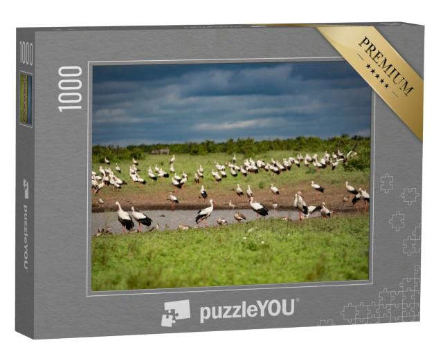 Puzzle 1000 Teile „Ein riesiger Schwarm von Weißstörchen an einer Wasserstelle“
