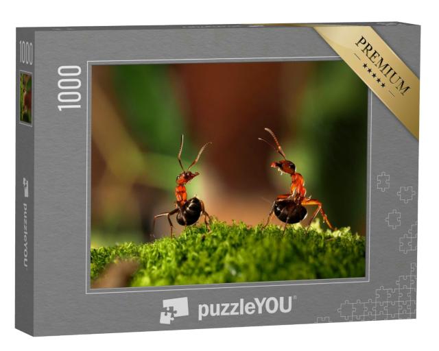 Puzzle 1000 Teile „Kampf von zwei Ameisen“