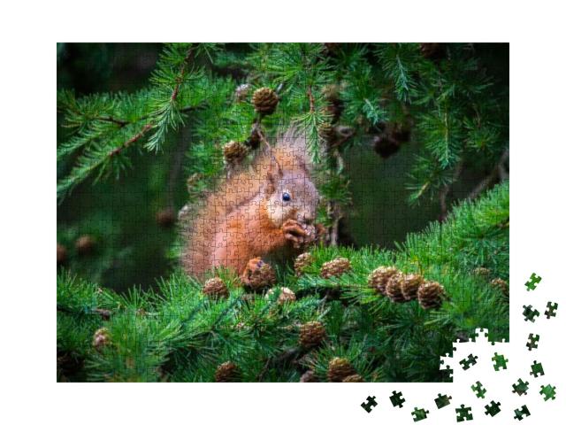 Puzzle 1000 Teile „Das kleine Eichhörnchen schlemmt hoch oben im Baum“