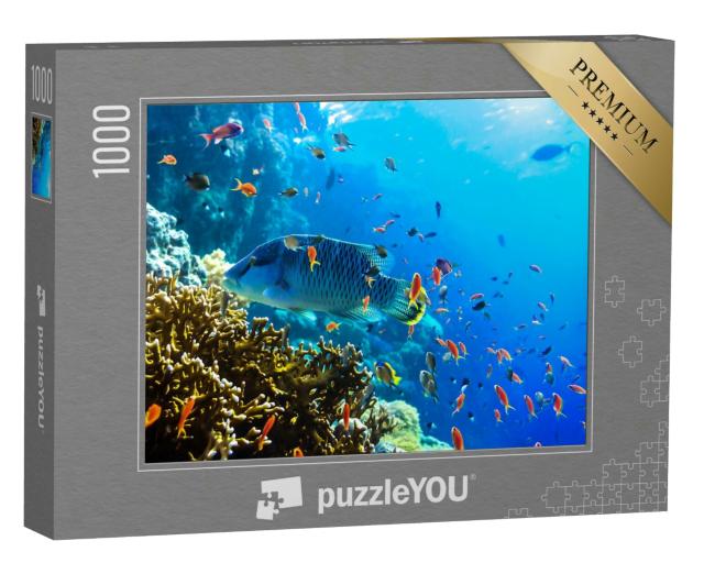Puzzle 1000 Teile „Verschiedene Unterwasserfische, Blick unter Wasser, Riff“