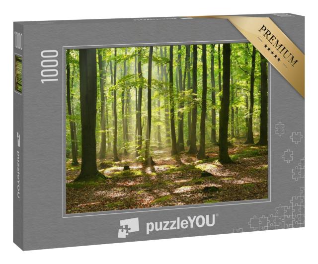 Puzzle 1000 Teile „Herbstdämmerung in einem mystischen Zauberwald“