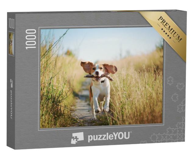 Puzzle 1000 Teile „Beagle mit einem Stöckchen“