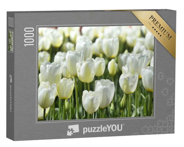 Puzzle 1000 Teile „Weiße Tulpen: Feld mit Blumen, Istanbul“
