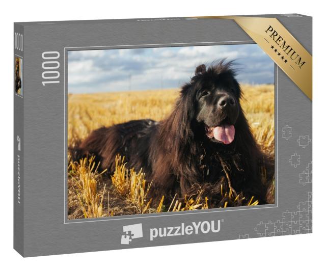 Puzzle 1000 Teile „Riesiger Neufundländer“