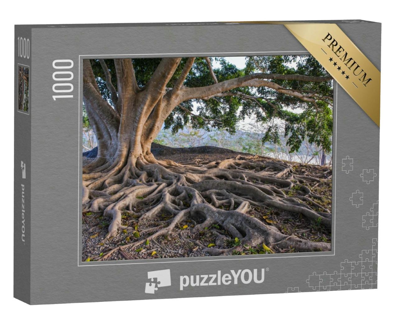 Puzzle 1000 Teile „Große Baumwurzel“