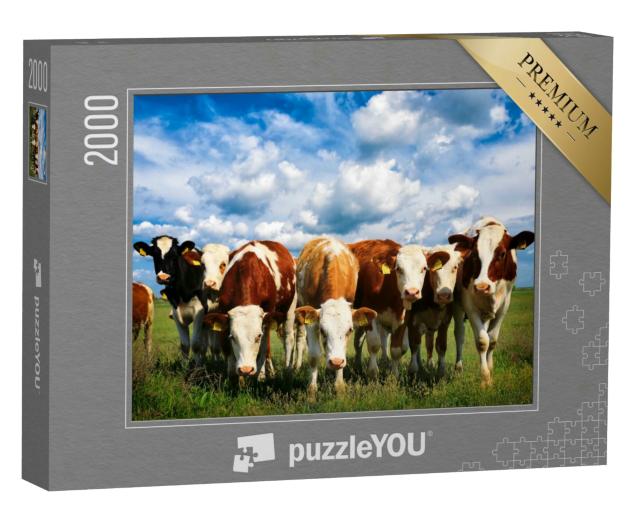 Puzzle 2000 Teile „Kühe auf einer grünen Sommerwiese“