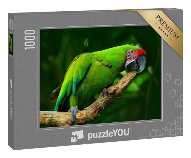 Puzzle 1000 Teile „Großer Grüner Ara, seltener Vogel aus Costa Rica“