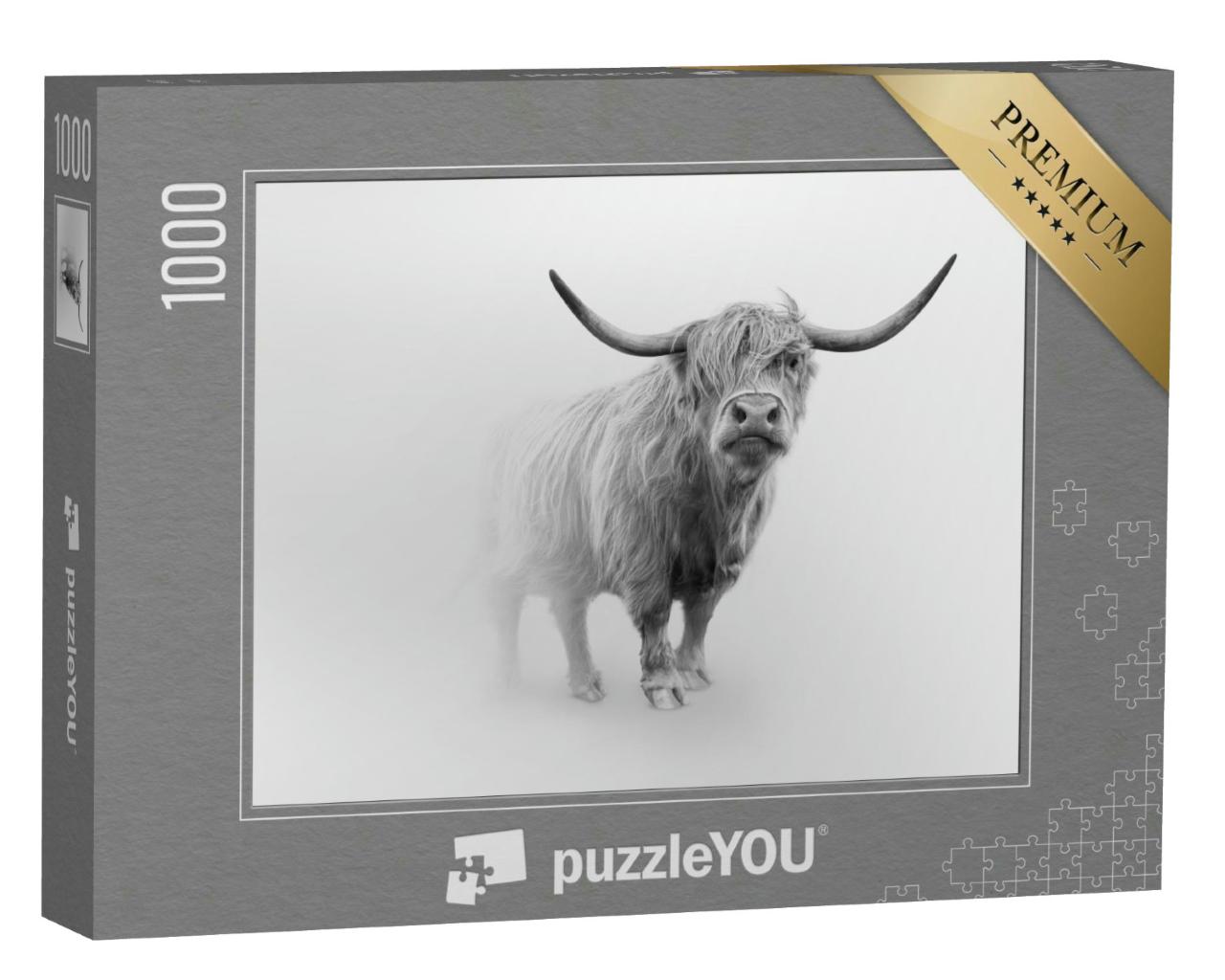 Puzzle 1000 Teile „Schottisches Hochlandrind, schwarz-weiß“