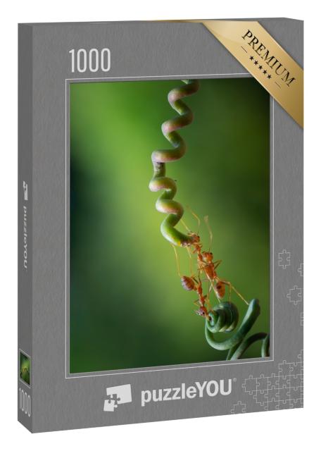 Puzzle 1000 Teile „Ameisen tragen Nahrung im Team“