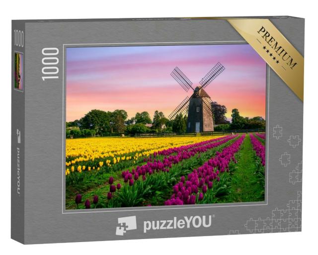 Puzzle 1000 Teile „Windmühle in einem Tulpenfeld mit gelben und violetten Blumen“