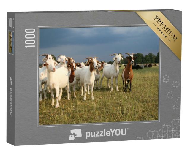 Puzzle 1000 Teile „Ziegenherde und Schafherde in der Lüneburger Heide unter Gewitterwolken“
