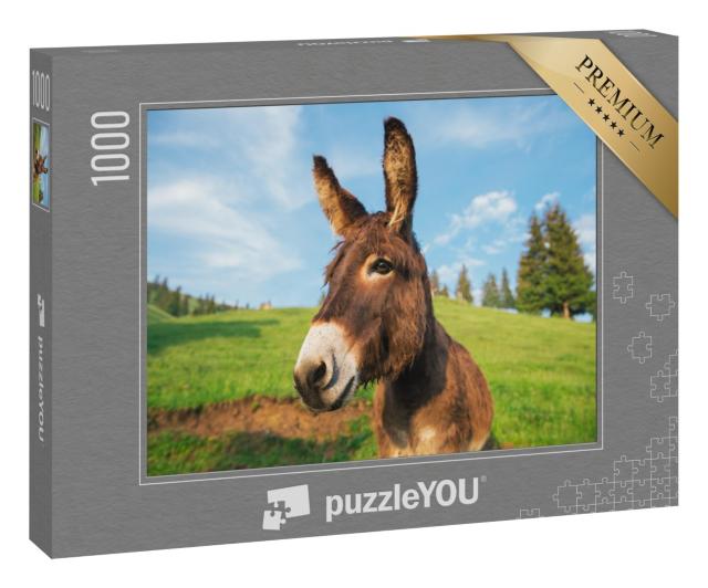 Puzzle 1000 Teile „Bild eines lustigen Esels bei Sonnenuntergang in Transsilvanien“
