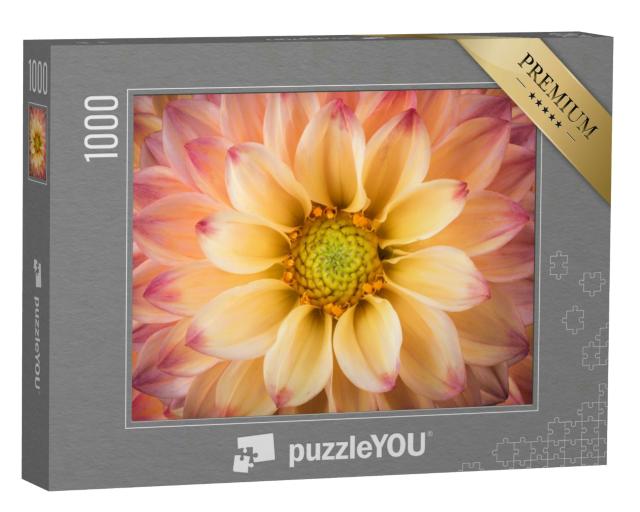 Puzzle 1000 Teile „Dahlie: bunte Blume als Makroaufnahme“