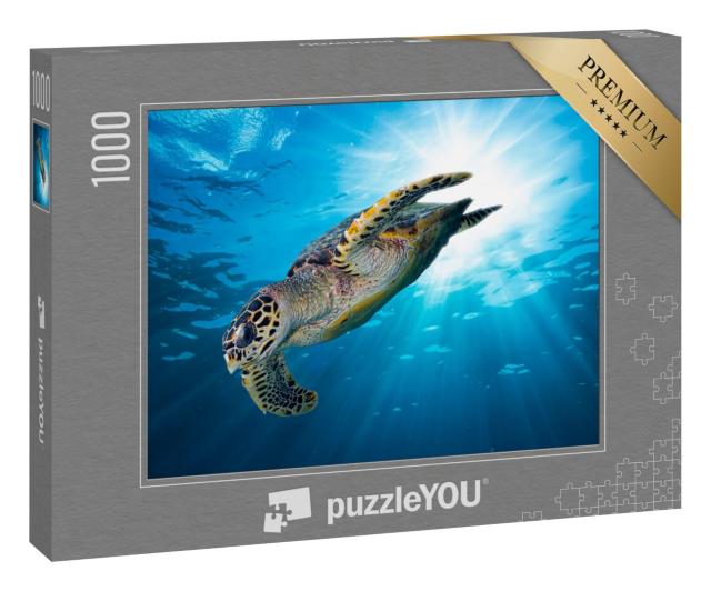 Puzzle 1000 Teile „Falkenschnabel Meeresschildkröte im tiefblauen Ozean“