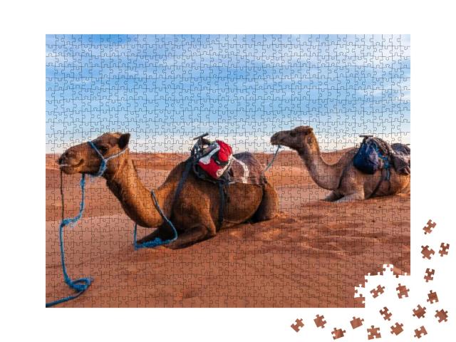 Puzzle 1000 Teile „Kamelkarawane in der Sahara von Marokko“