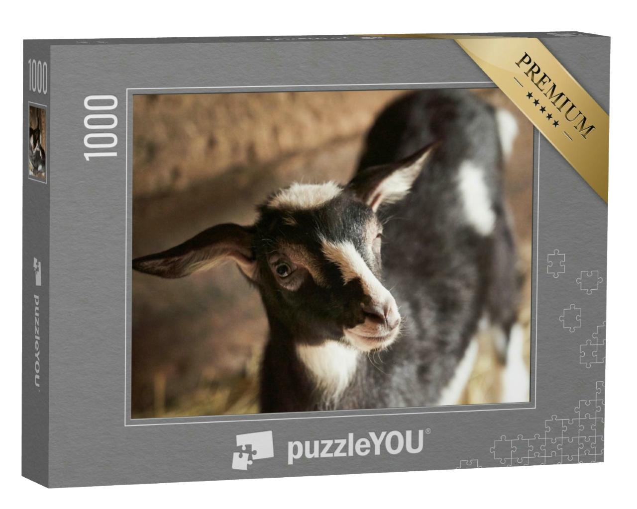 Puzzle 1000 Teile „Schwarzweiße Ziege im Stall, Zwergziege auf dem Bauernhof, Holzunterstand“